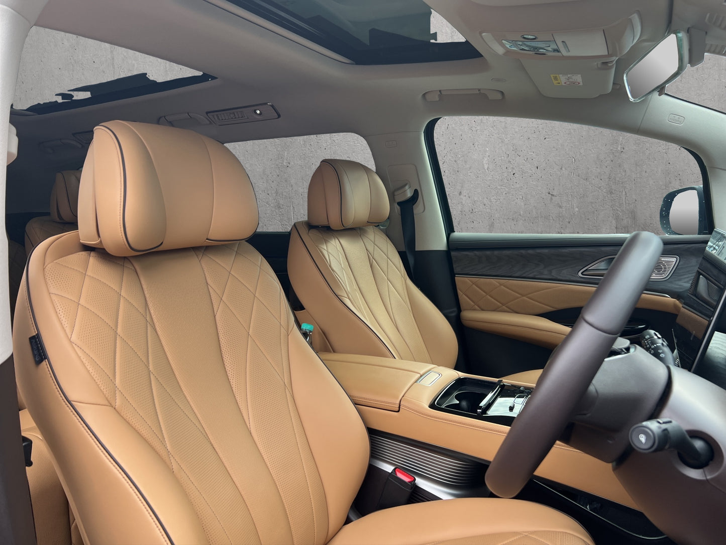 DENZA D9 Advanced FWD