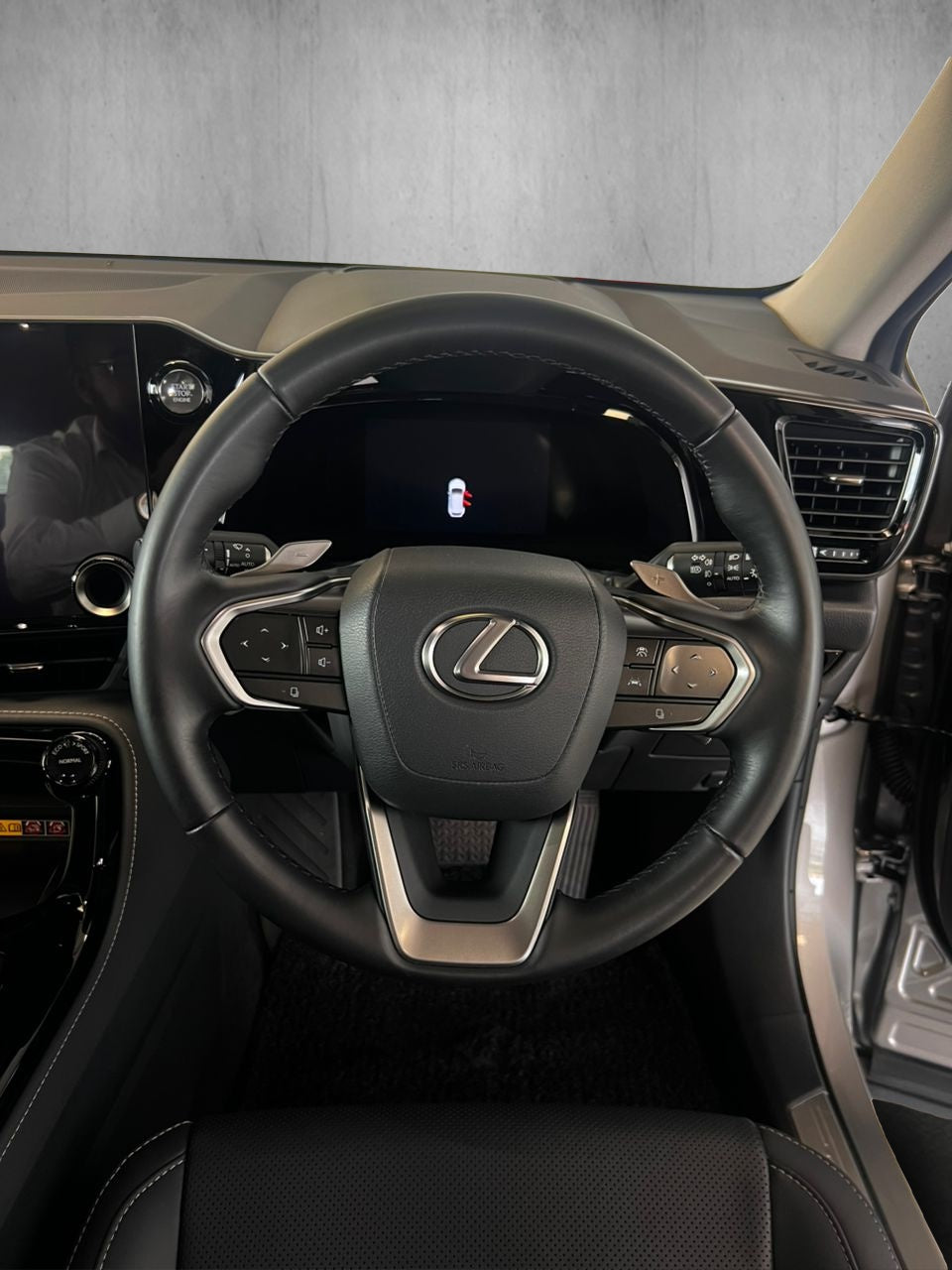 Lexus NX250 Luxury