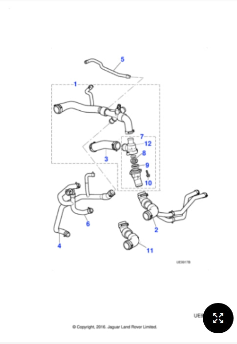 XR849444 - Jaguar Bottom hose (Genuine & New)
