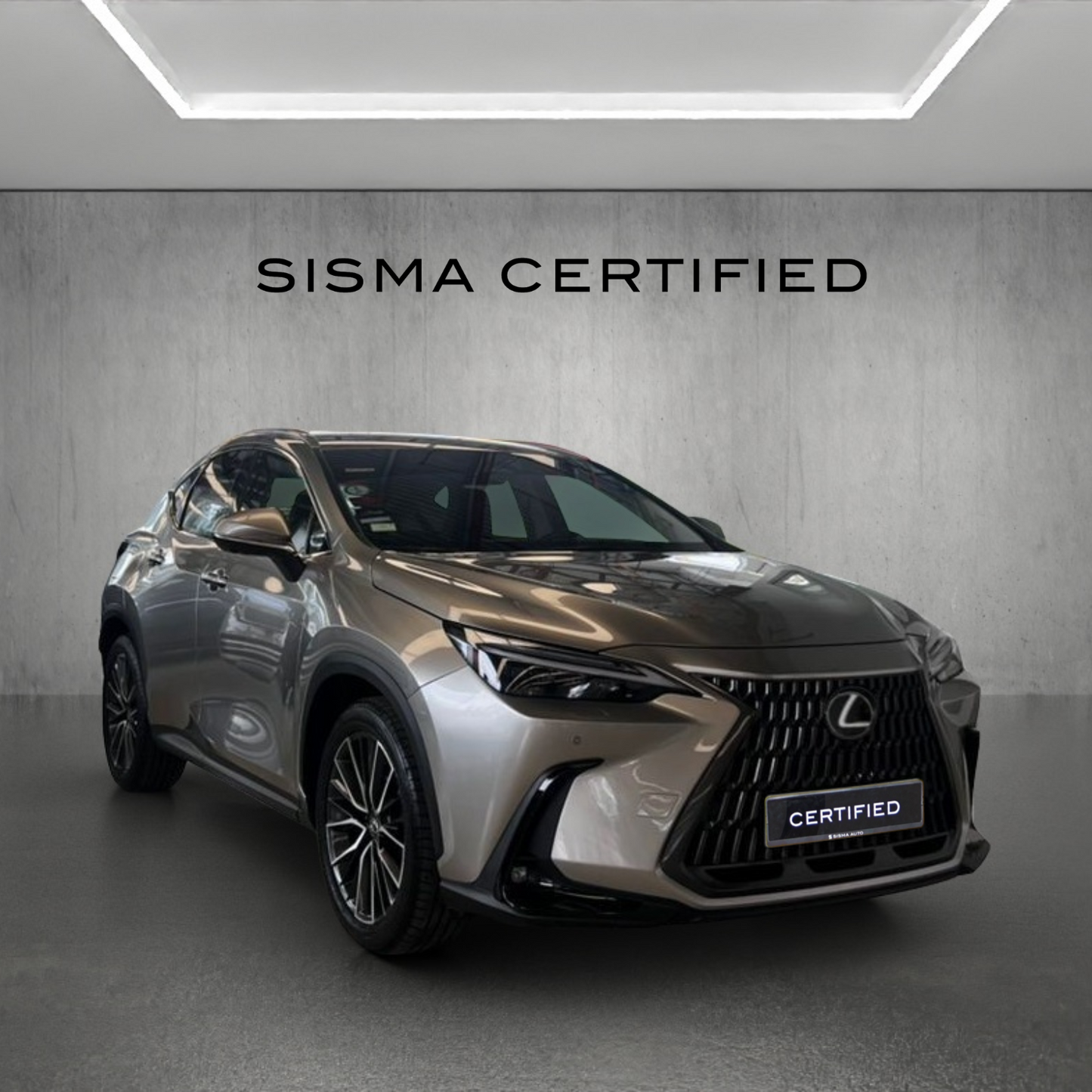 Lexus NX250 Luxury